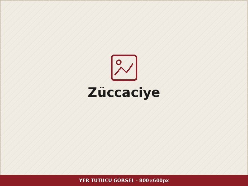 Züccaciye